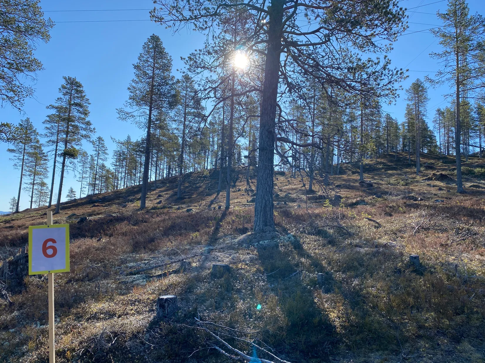 Tomt, Mickeltemplet, Särna, Älvdalen