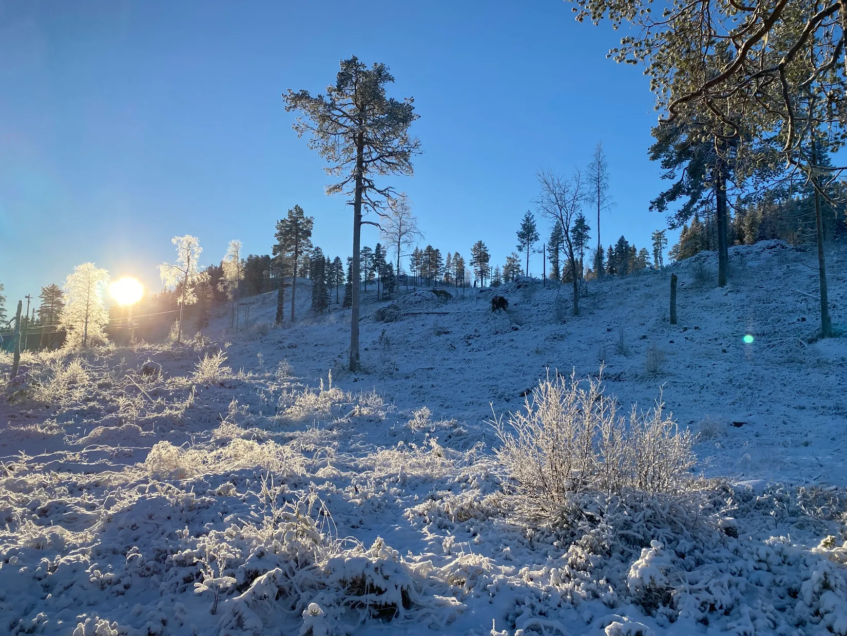 Tomt, Mickeltemplet, Särna, Älvdalen