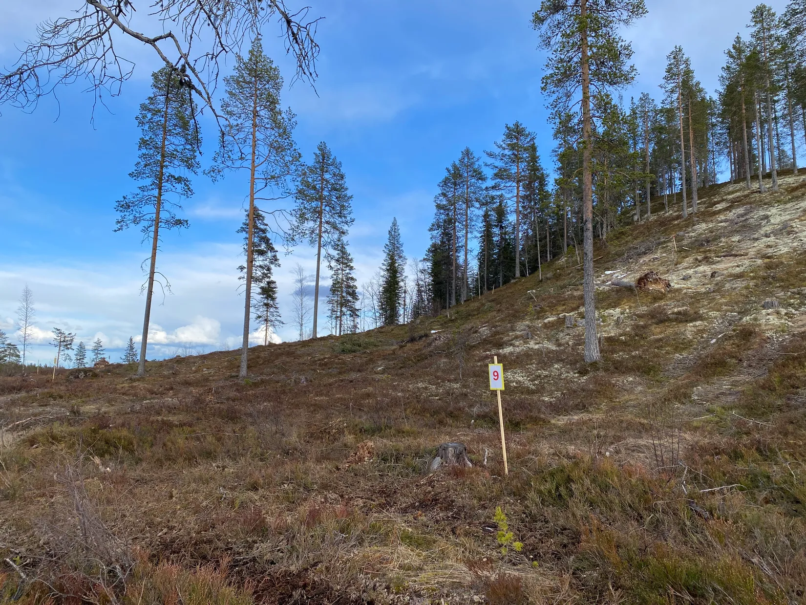 Tomt, Mickeltemplet, Särna, Älvdalen