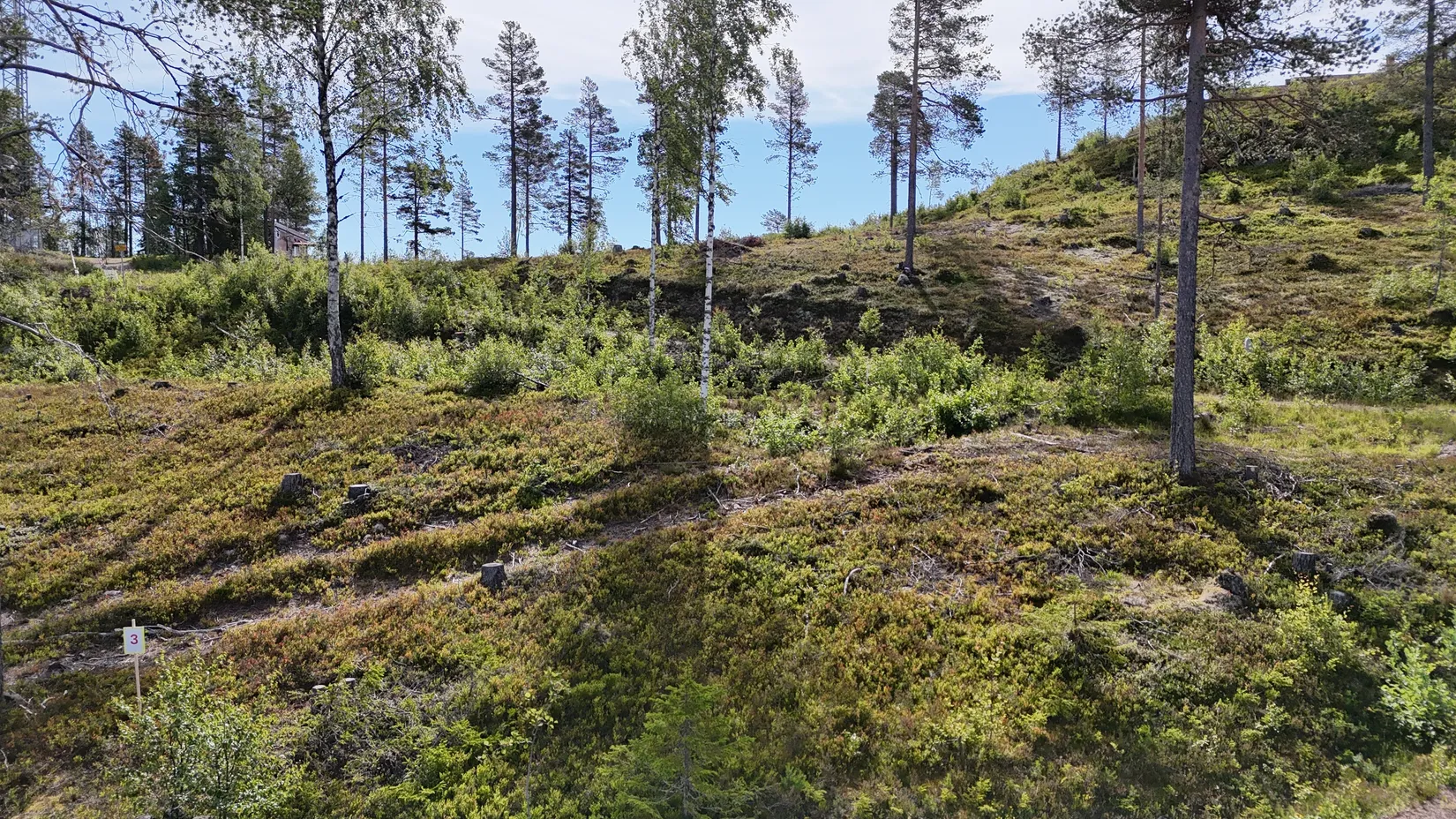 Tomt, Mickeltemplet, Särna, Älvdalen