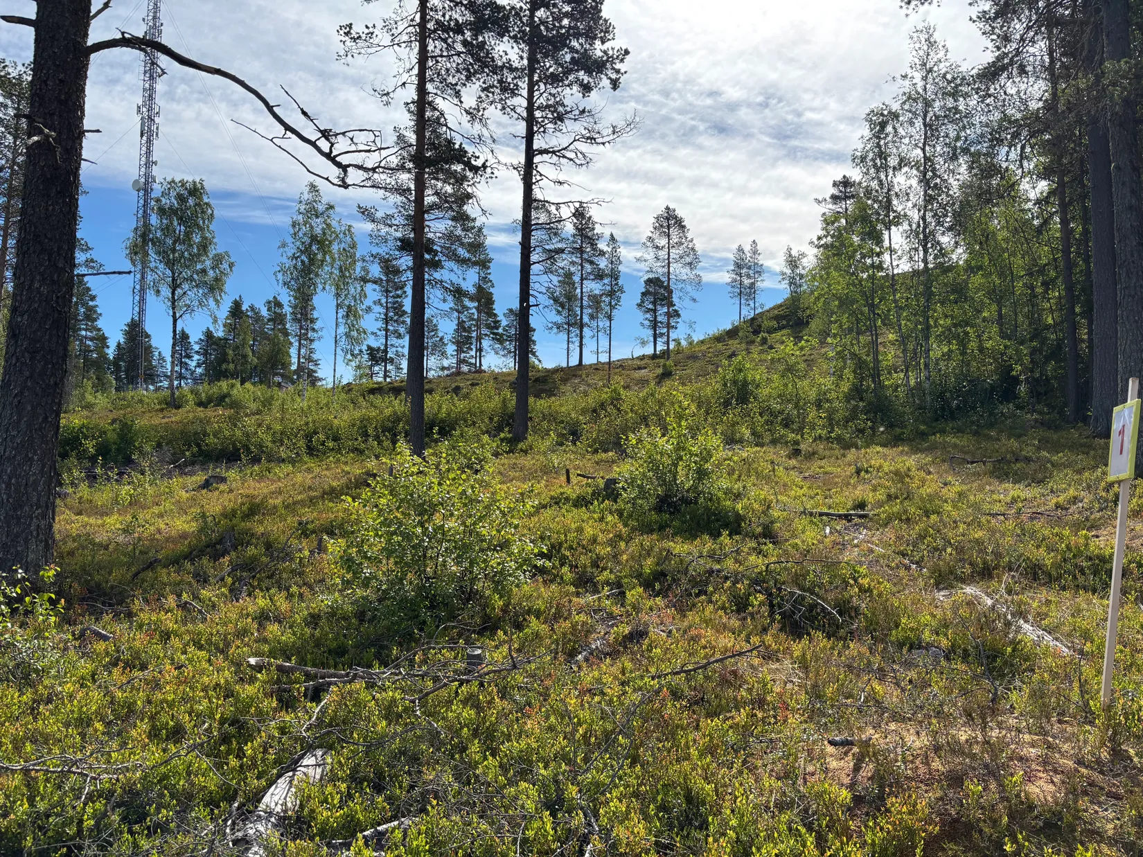Tomt, Mickeltemplet, Särna, Älvdalen