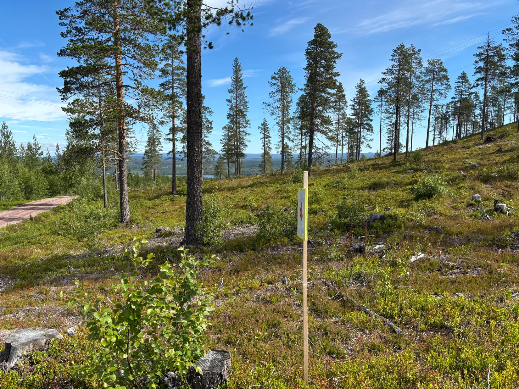 Tomt, Mickeltemplet, Särna, Älvdalen