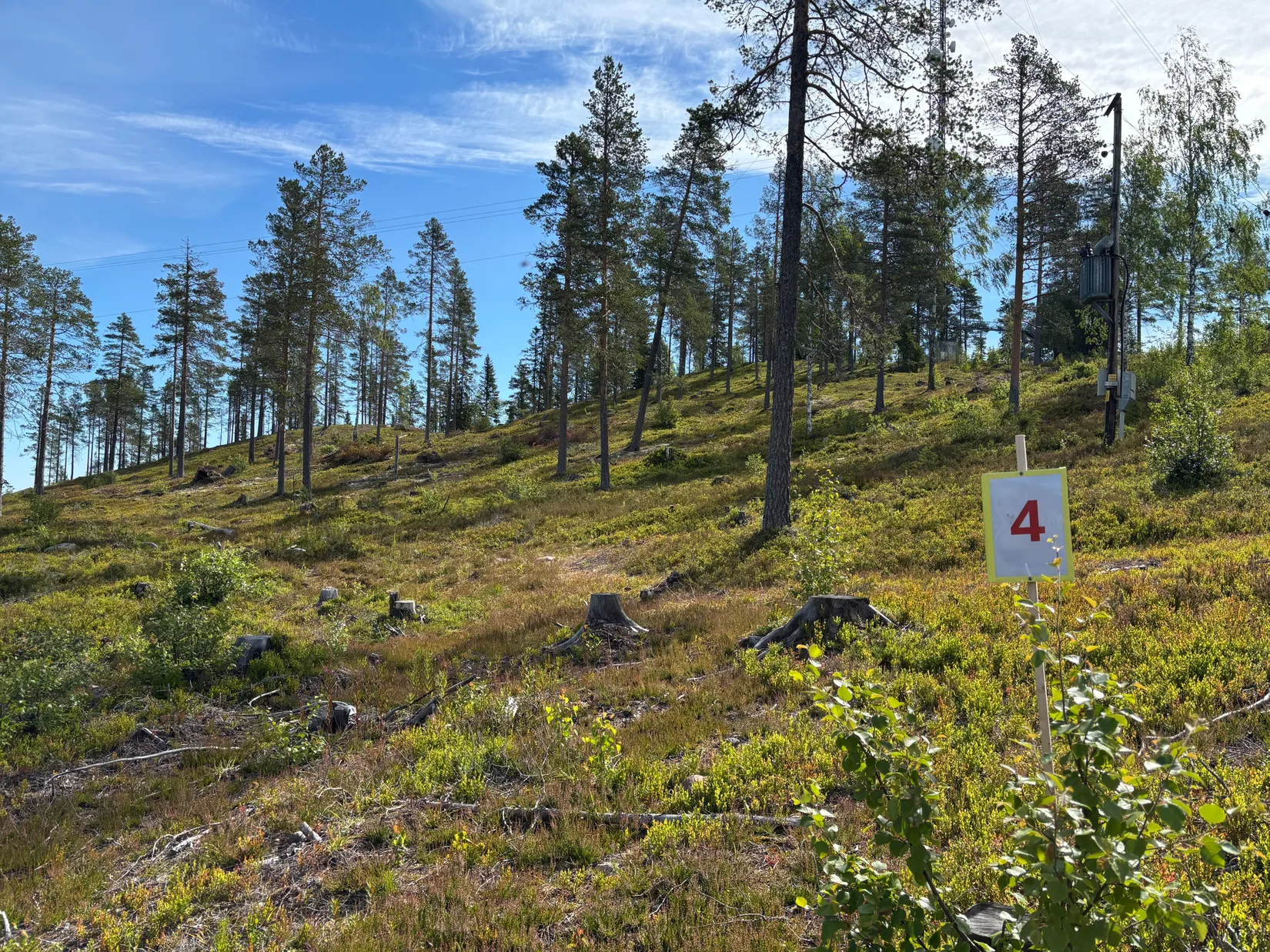 Tomt, Mickeltemplet, Särna, Älvdalen