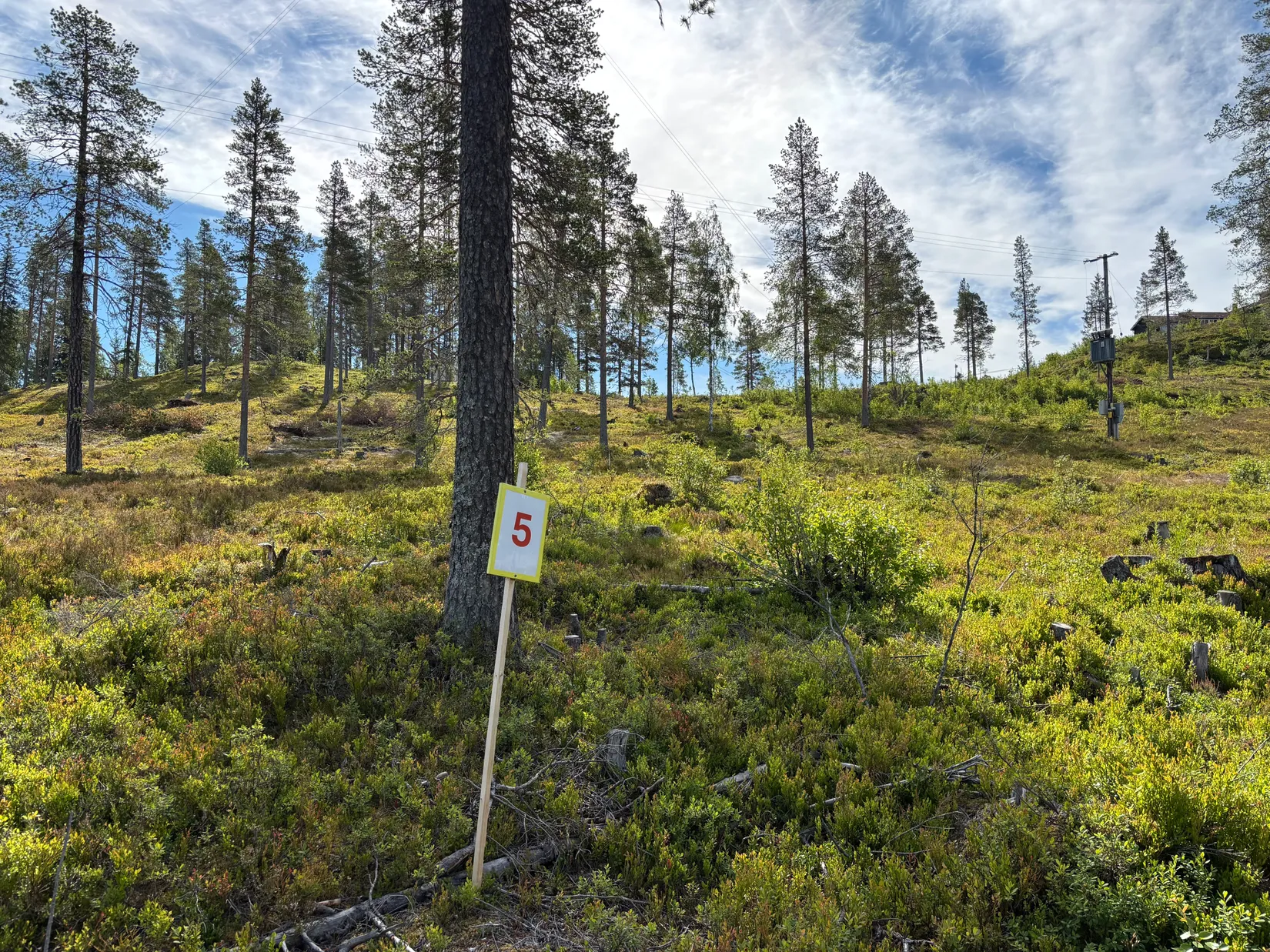 Tomt, Mickeltemplet, Särna, Älvdalen