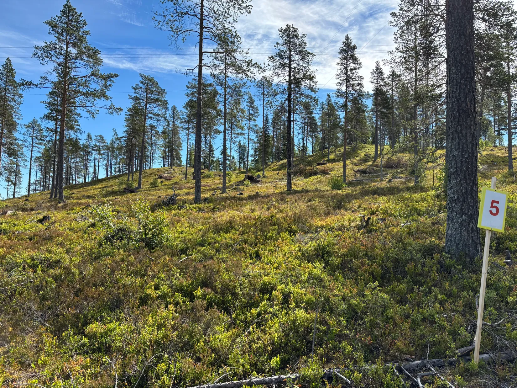 Tomt, Mickeltemplet, Särna, Älvdalen