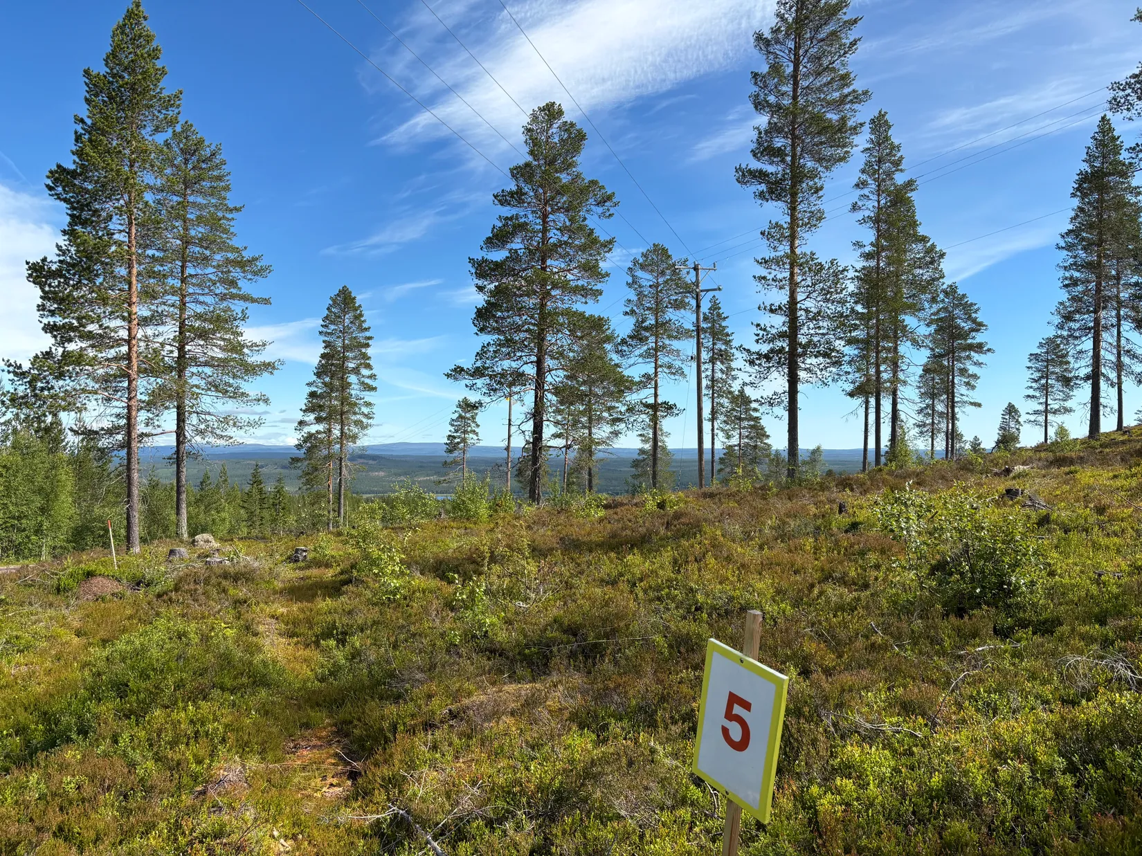 Tomt, Mickeltemplet, Särna, Älvdalen