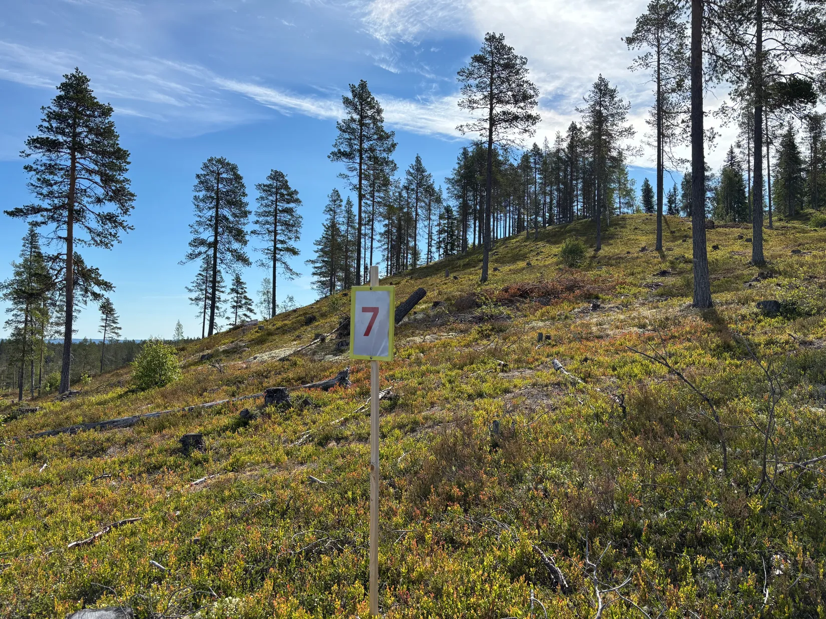 Tomt, Mickeltemplet, Särna, Älvdalen