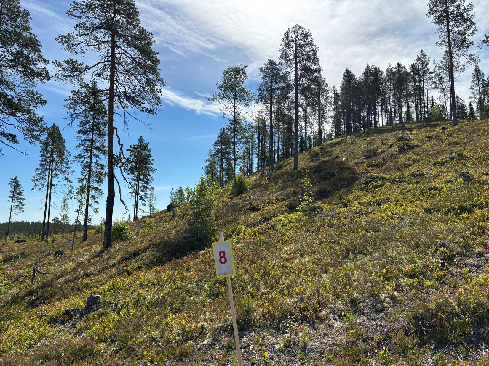 Tomt, Mickeltemplet, Särna, Älvdalen