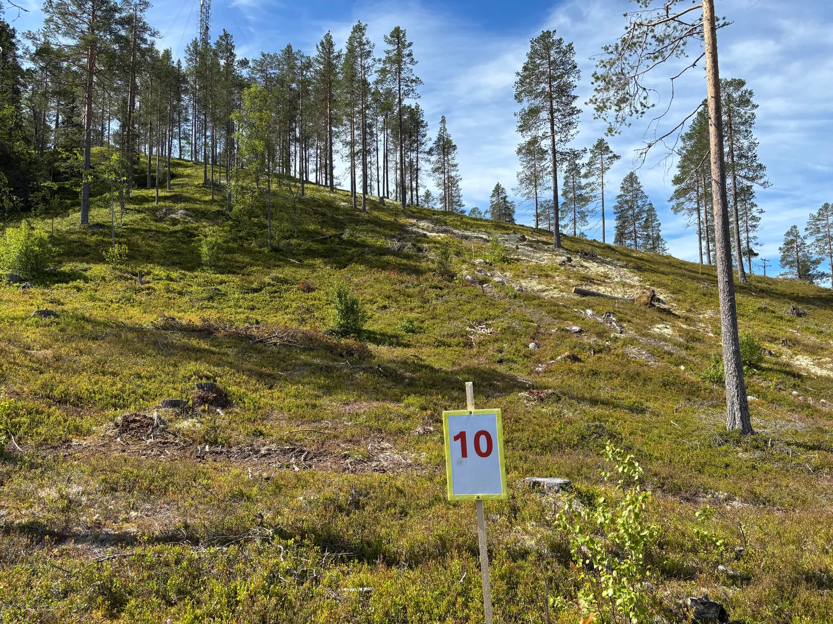 Tomt, Mickeltemplet, Särna, Älvdalen