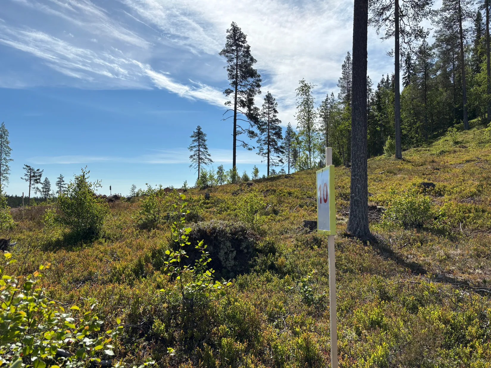 Tomt, Mickeltemplet, Särna, Älvdalen