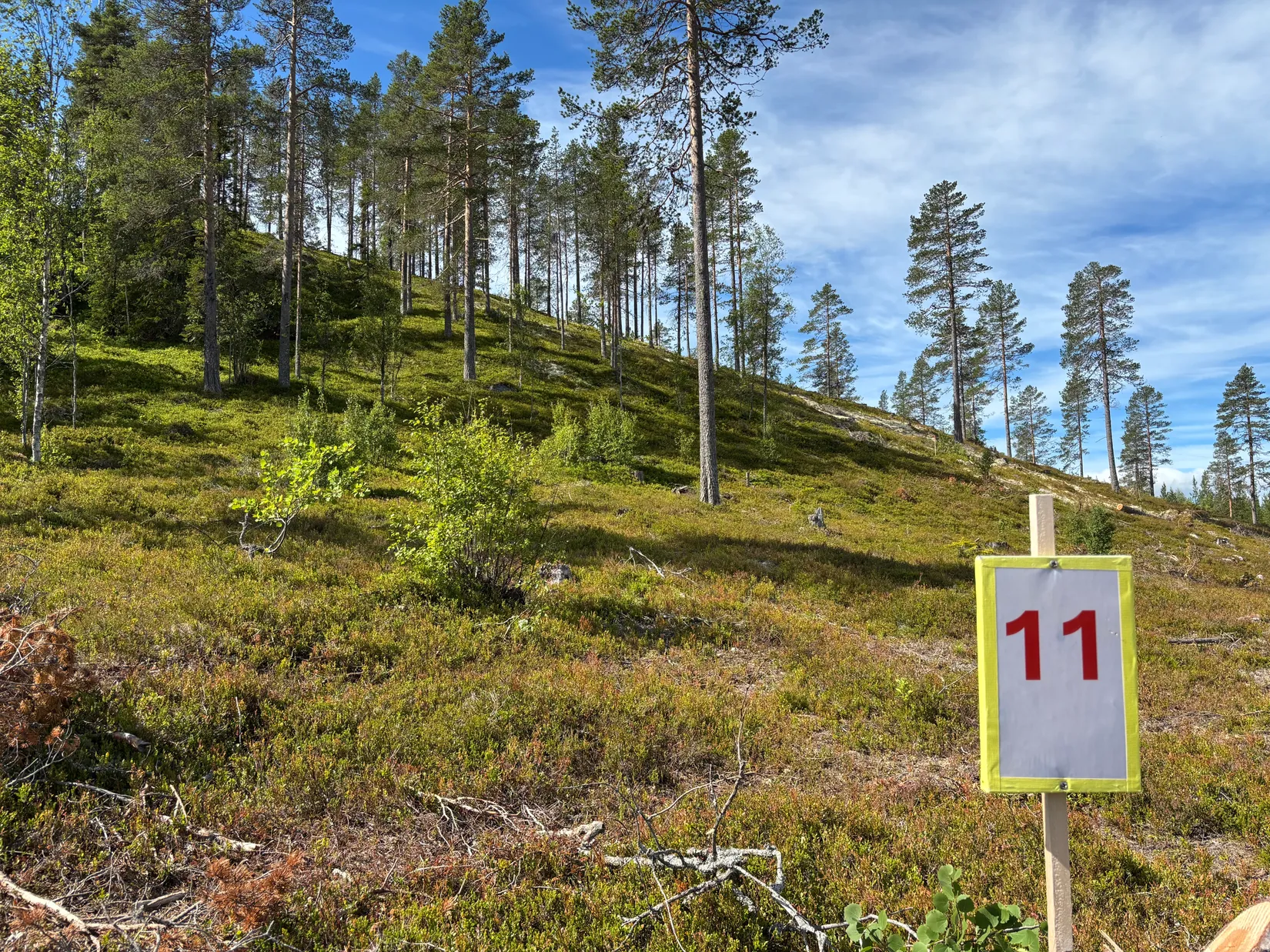 Tomt, Mickeltemplet, Särna, Älvdalen