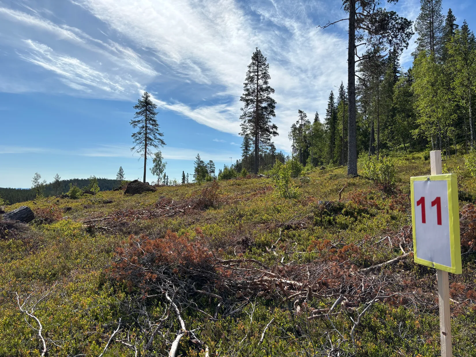 Tomt, Mickeltemplet, Särna, Älvdalen