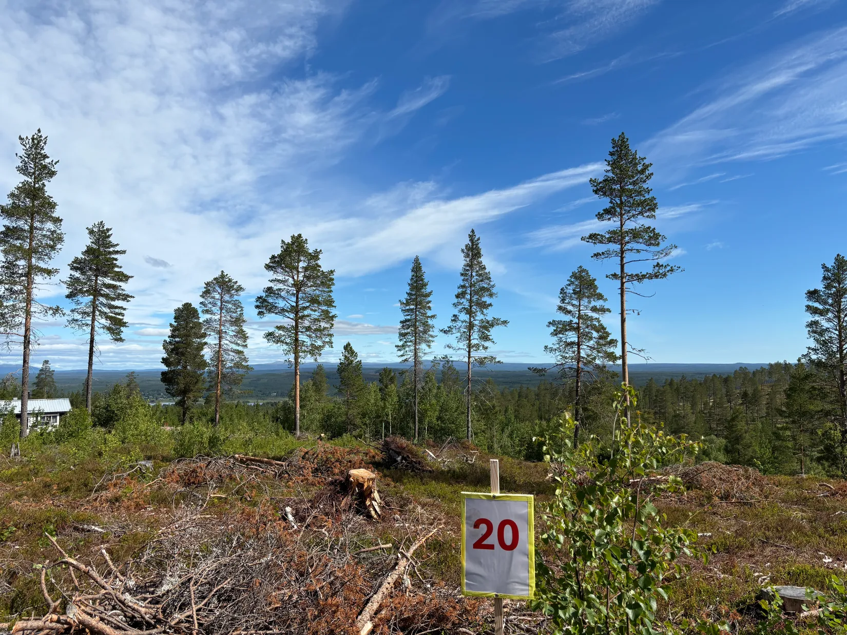 Tomt, Mickeltemplet, Särna, Älvdalen