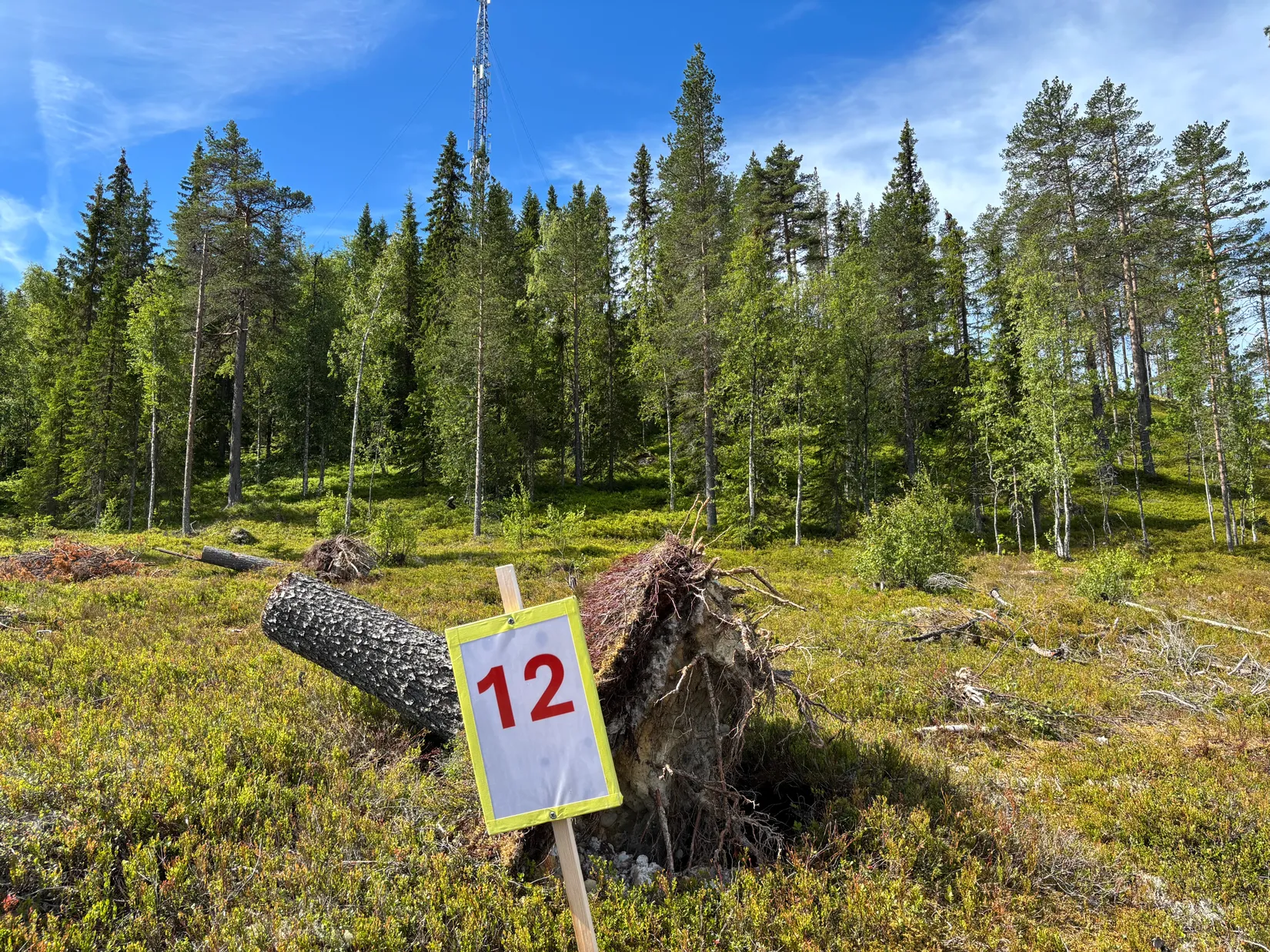 Tomt, Mickeltemplet, Särna, Älvdalen