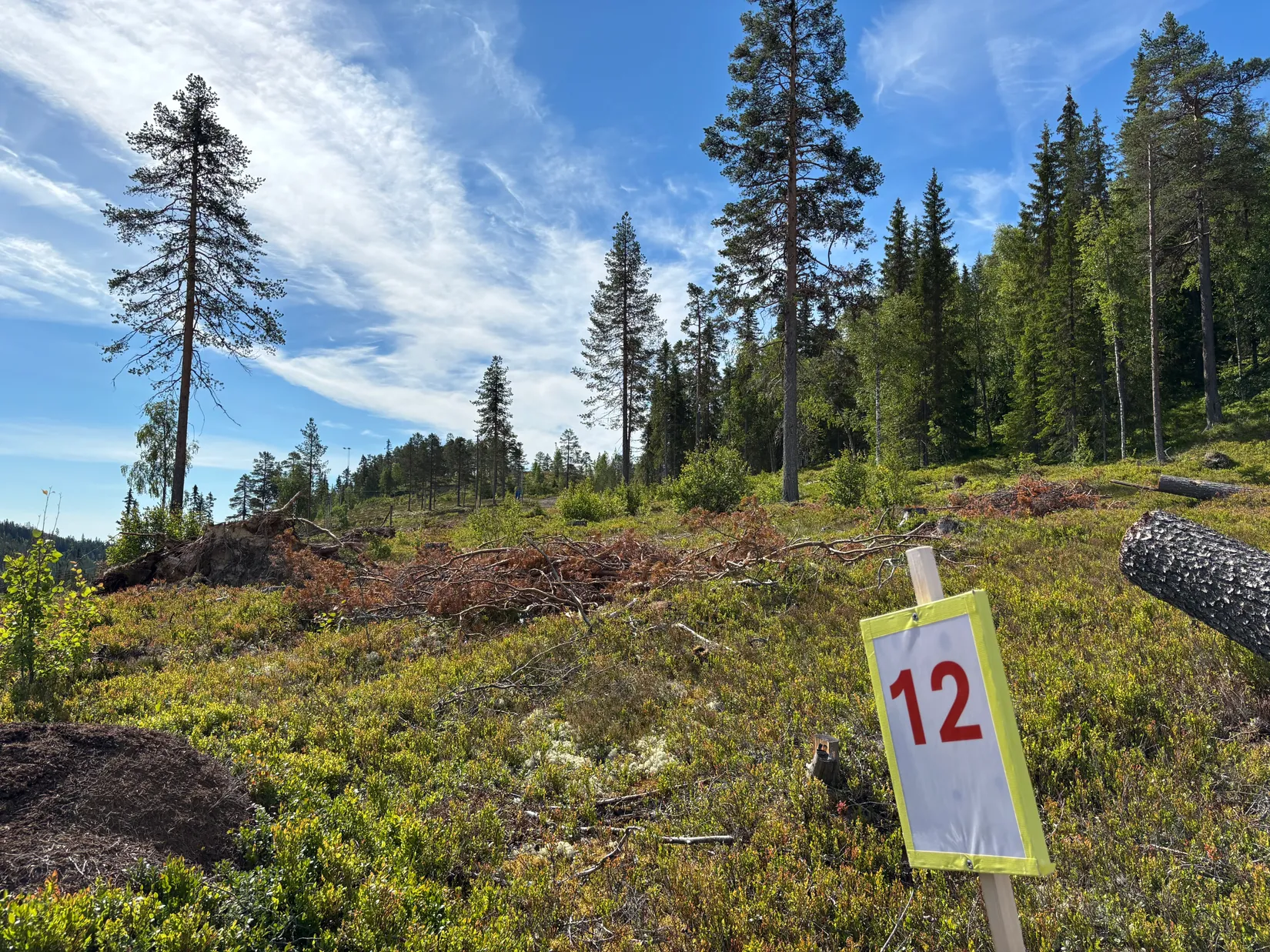 Tomt, Mickeltemplet, Särna, Älvdalen