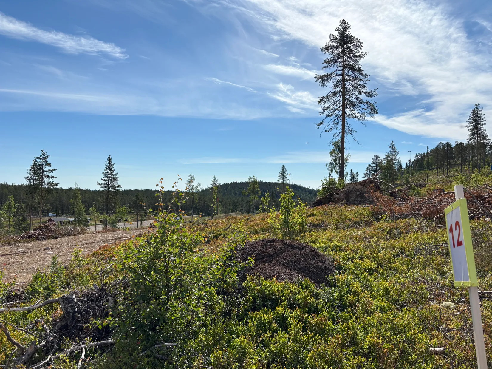 Tomt, Mickeltemplet, Särna, Älvdalen