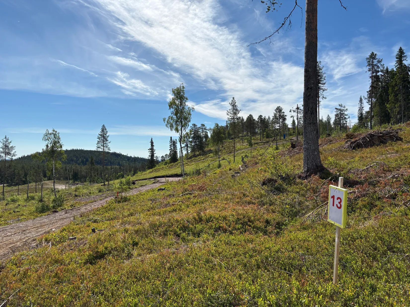 Tomt, Mickeltemplet, Särna, Älvdalen