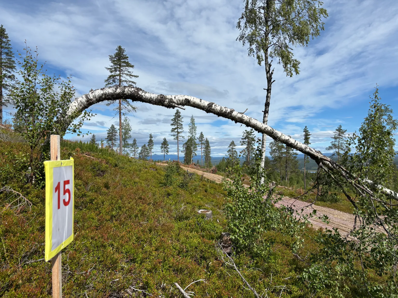 Tomt, Mickeltemplet, Särna, Älvdalen