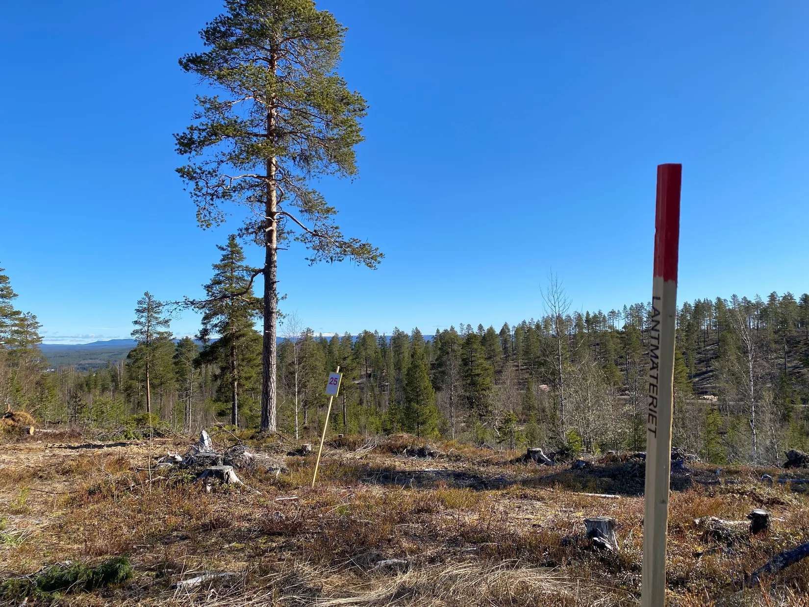 Tomt, Mickeltemplet, Särna, Älvdalen