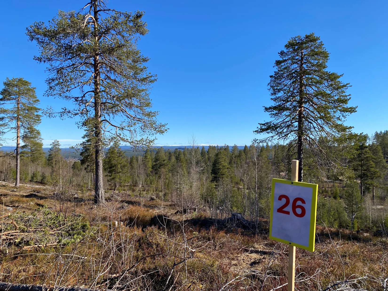 Tomt, Mickeltemplet, Särna, Älvdalen
