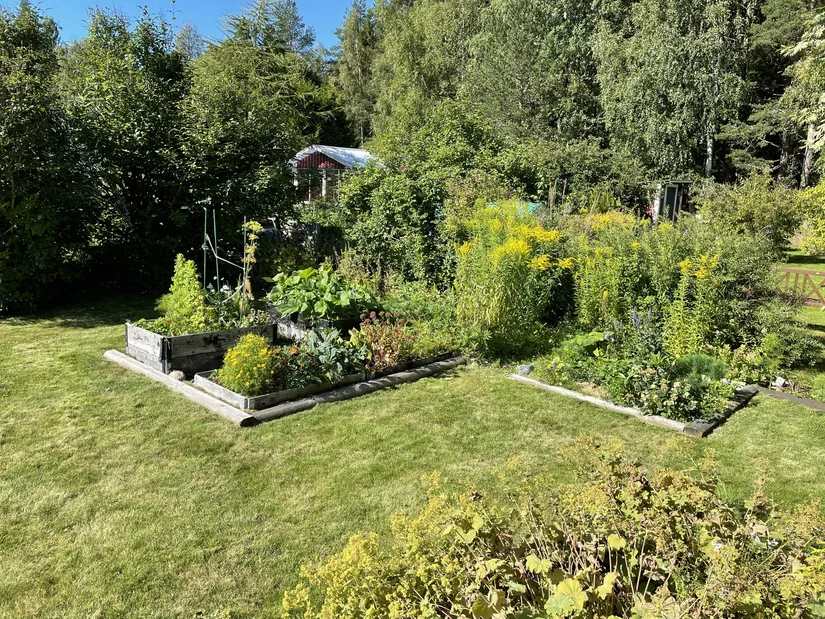 Fritidshus, Tomtebo Koloniträdgårdsförening i Umeå stuga nr.29, Tomtebo, Umeå