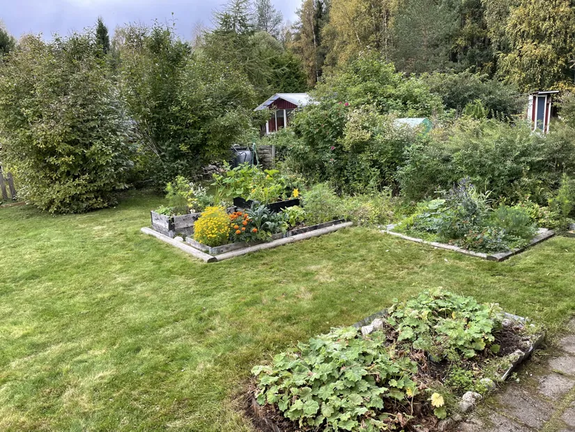 Fritidshus, Tomtebo Koloniträdgårdsförening i Umeå stuga nr.29, Tomtebo, Umeå