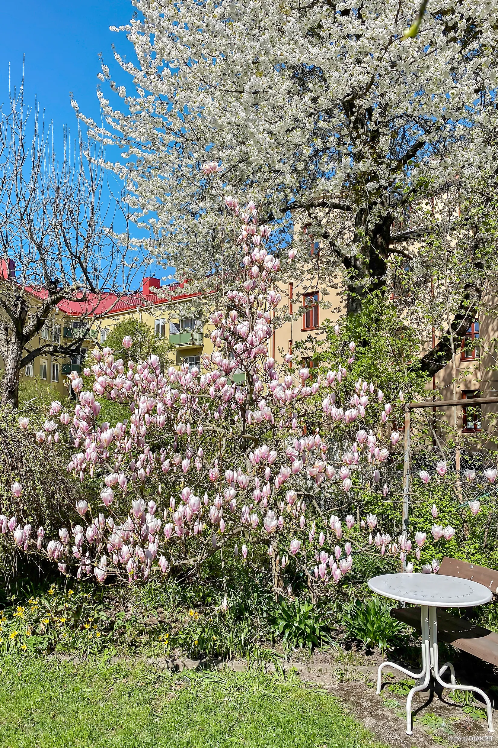 Villa, Prinsgatan 7, Centralt väster vid Karl-Johanparken, Örebro