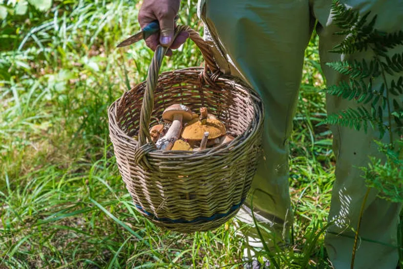Villa, Björksättra 31, Rimbo, Norrtälje