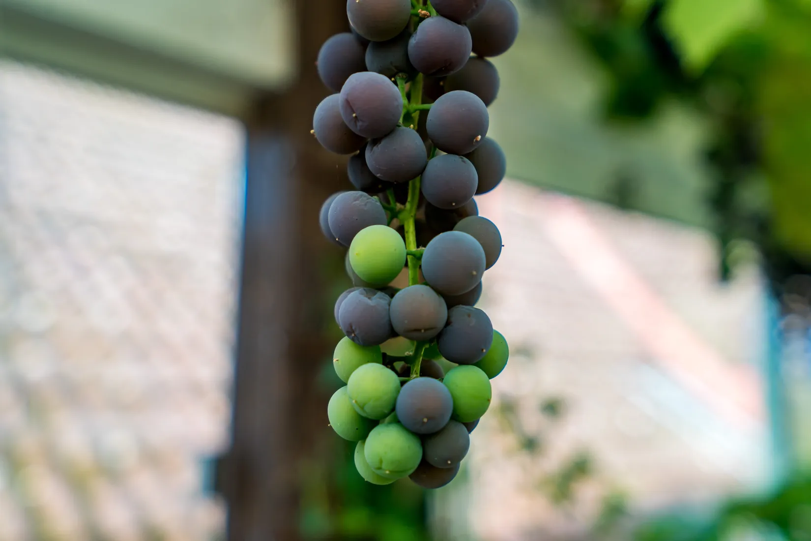 Villa, Gamla Arbogavägen 4, Glanshammar, Örebro