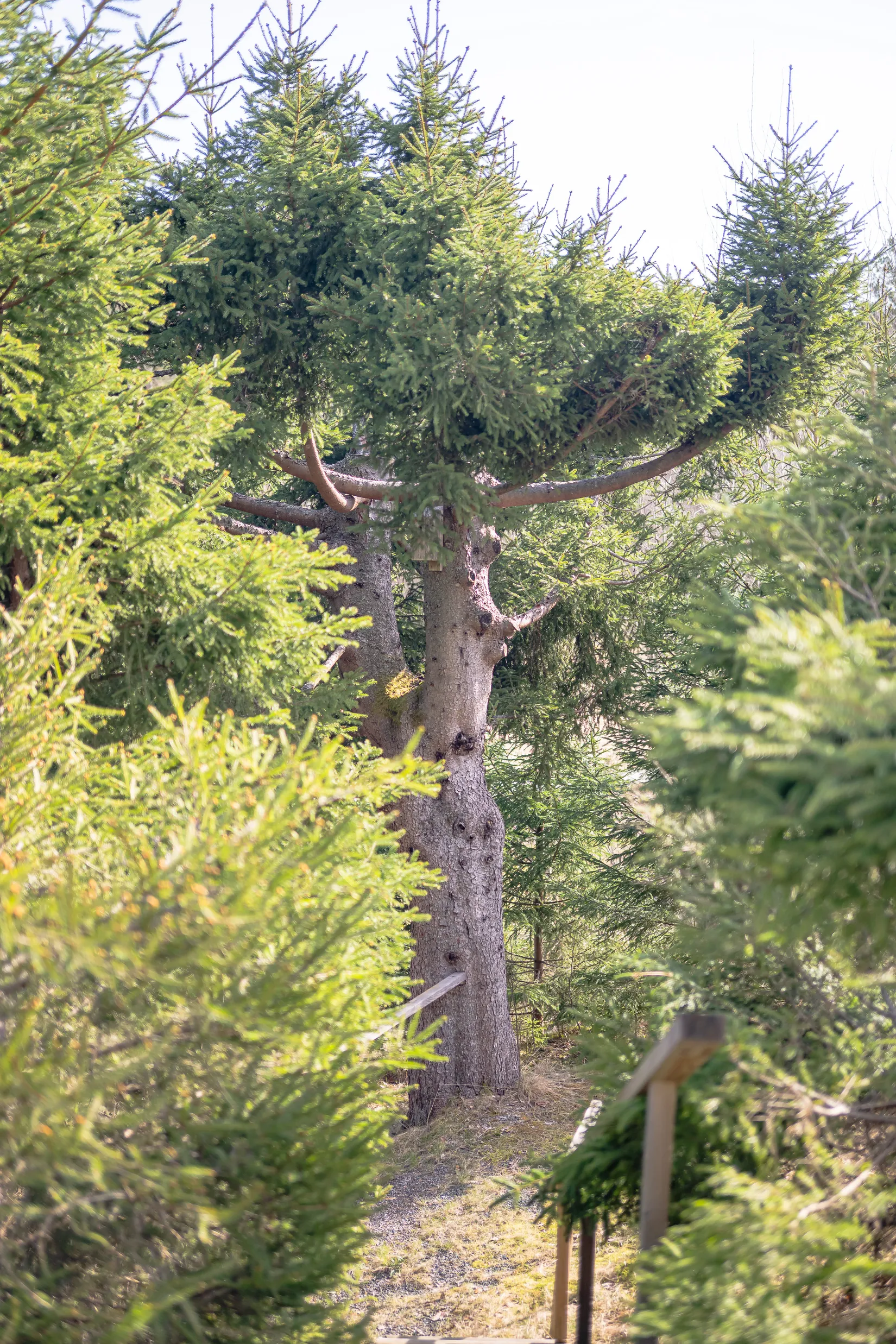 Fritidshus, Dalvägen 11, Lilla Hammarbosäter, Gnesta