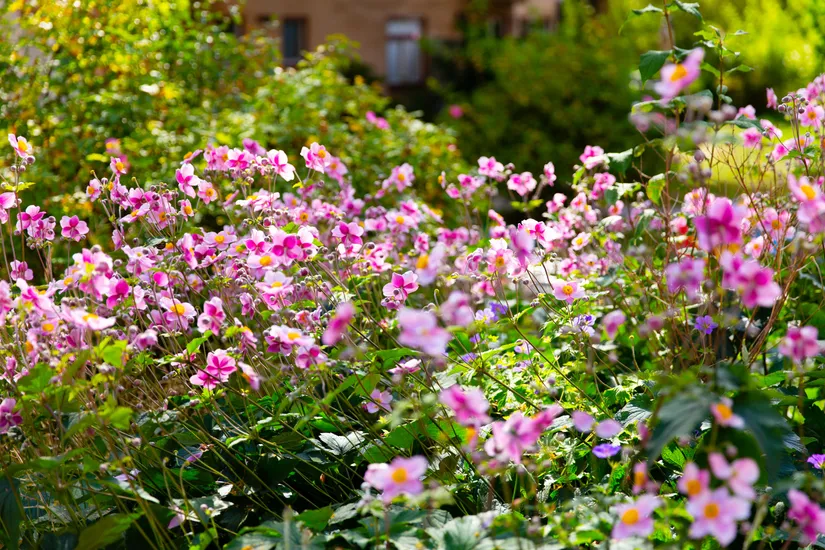 Bostadsrätt, Paternostervägen 64, Hammarbyhöjden, Stockholm