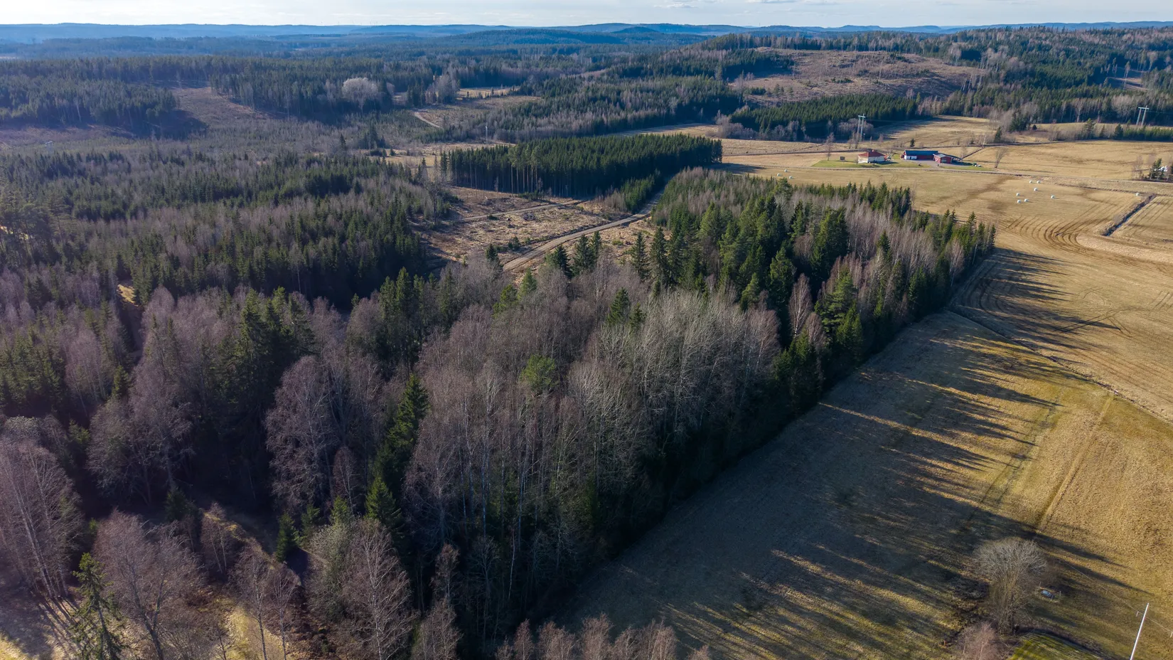 Tomt, Botten 1, Forshaga