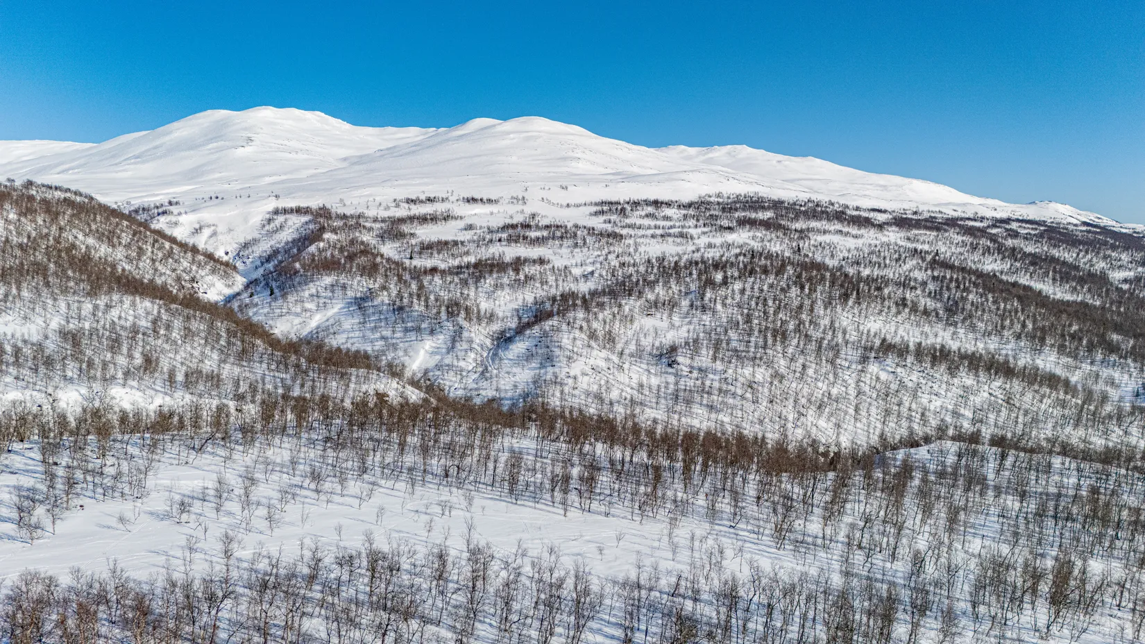 Tomt, Forsfallet-FF01, Hemavan/Birke, Storuman