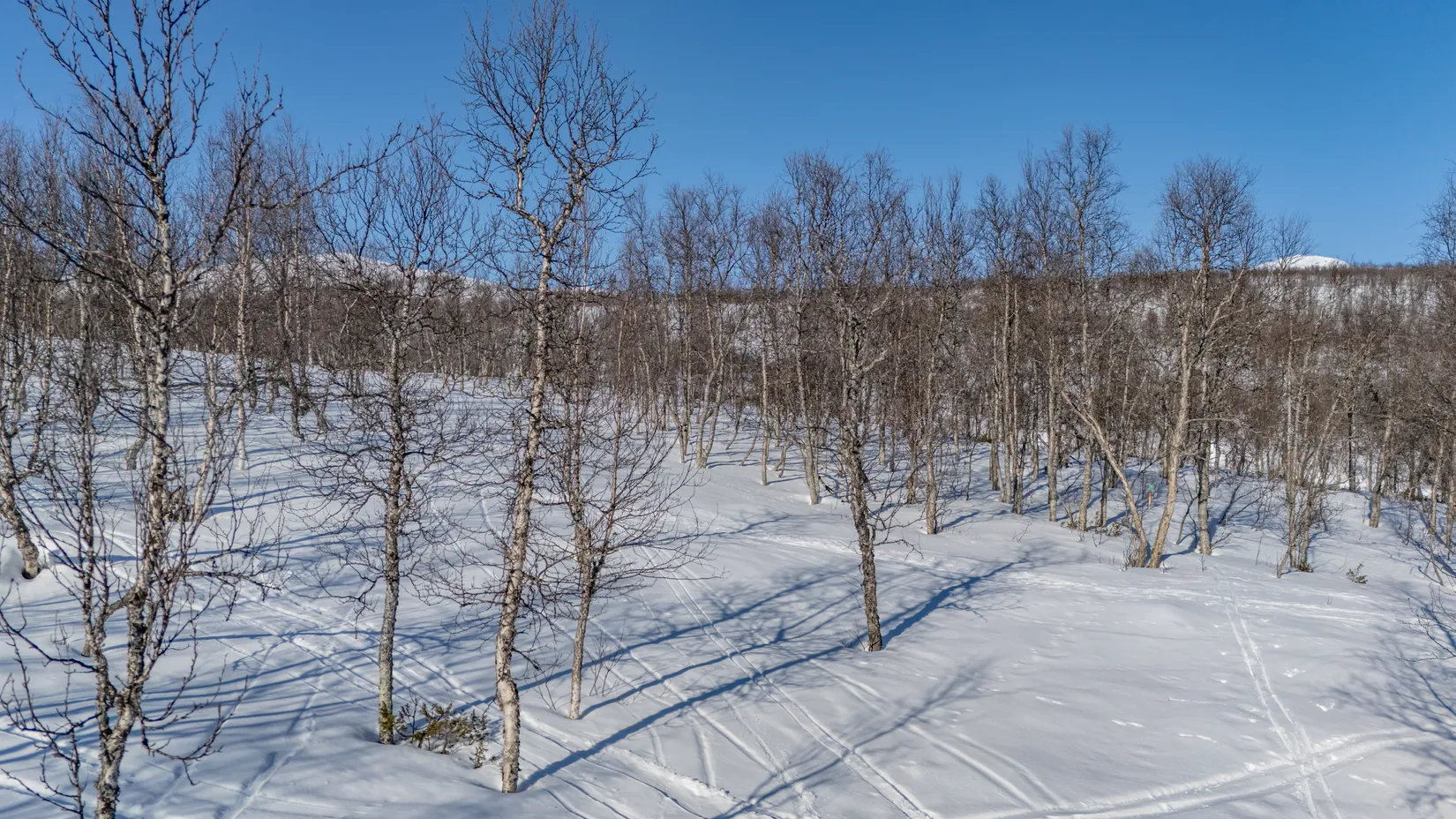 Tomt, Forsfallet-FF01, Hemavan/Birke, Storuman