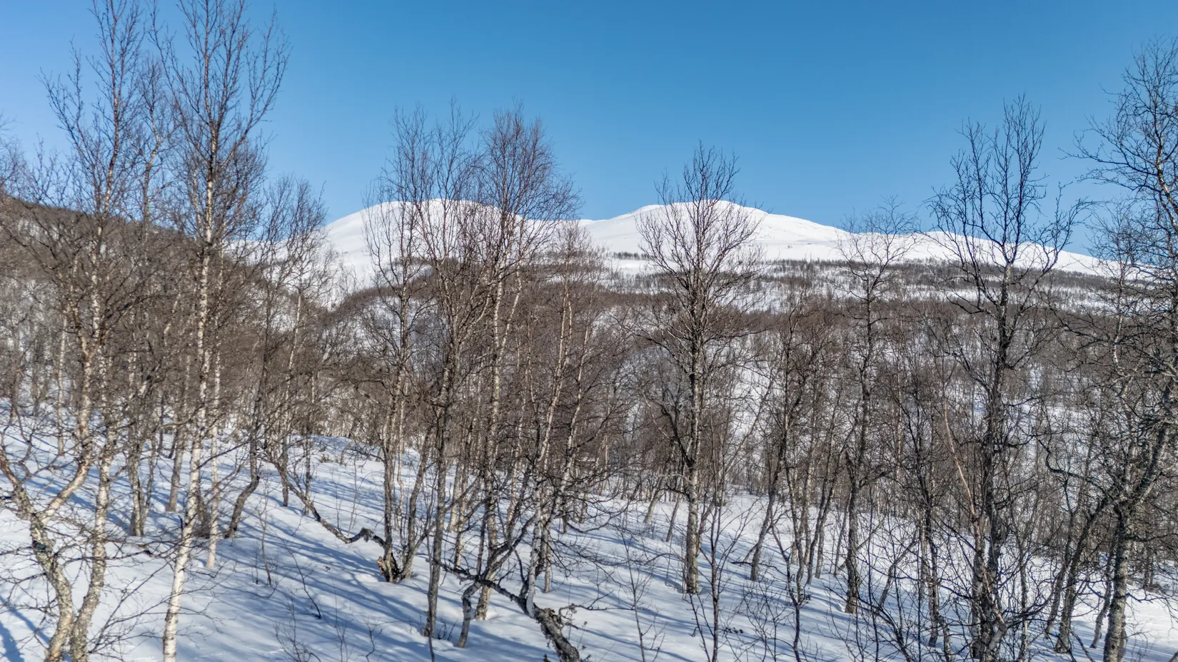 Tomt, Forsfallet-FF01, Hemavan/Birke, Storuman