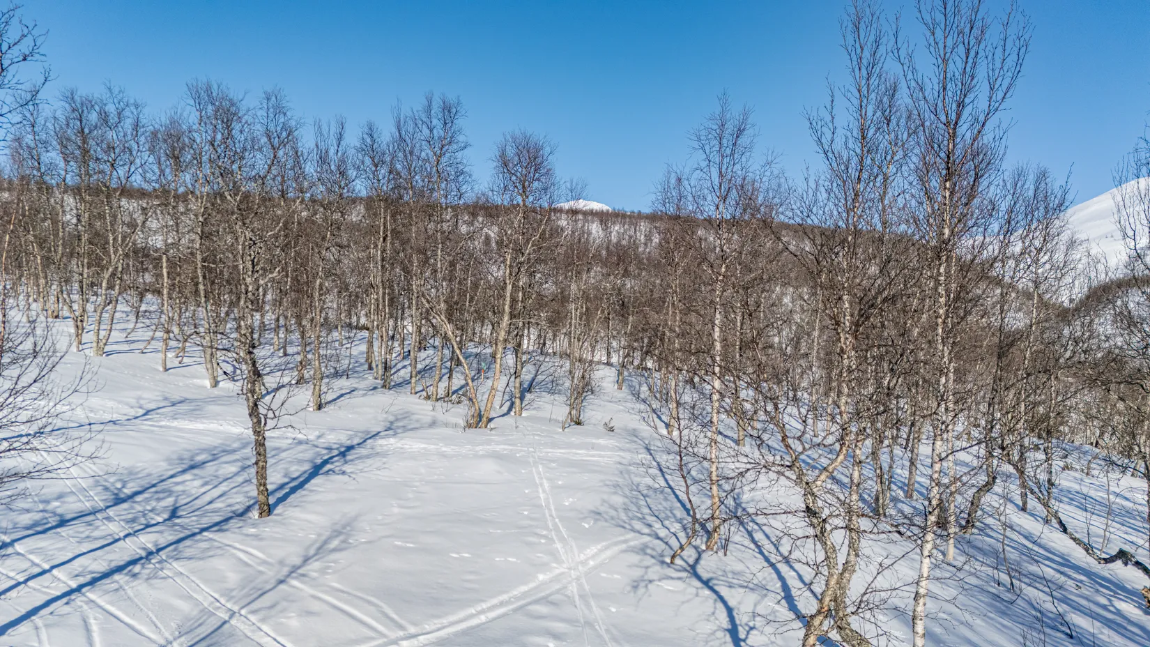 Tomt, Forsfallet-FF01, Hemavan/Birke, Storuman