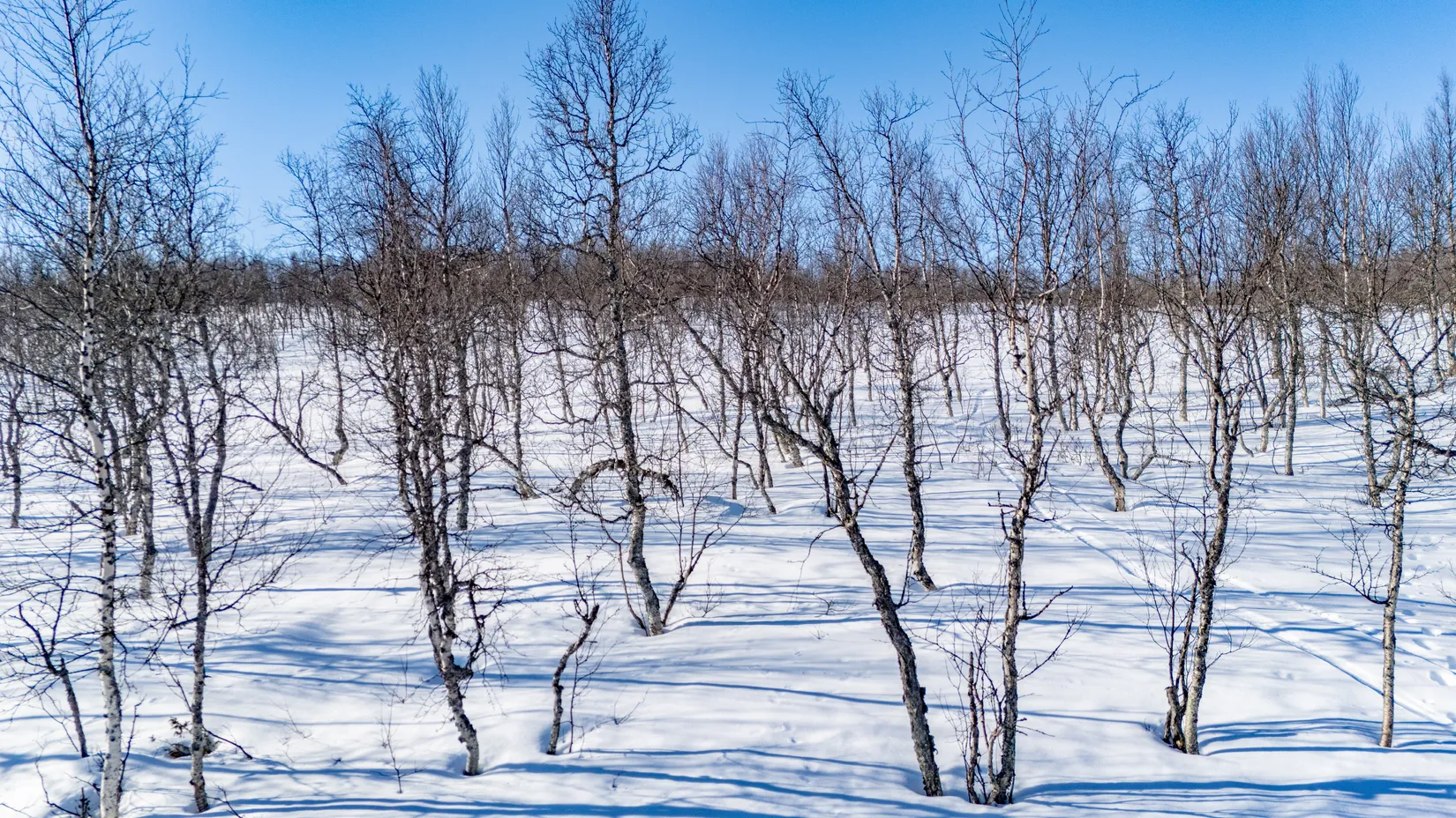 Tomt, Forsfallet-FF01, Hemavan/Birke, Storuman