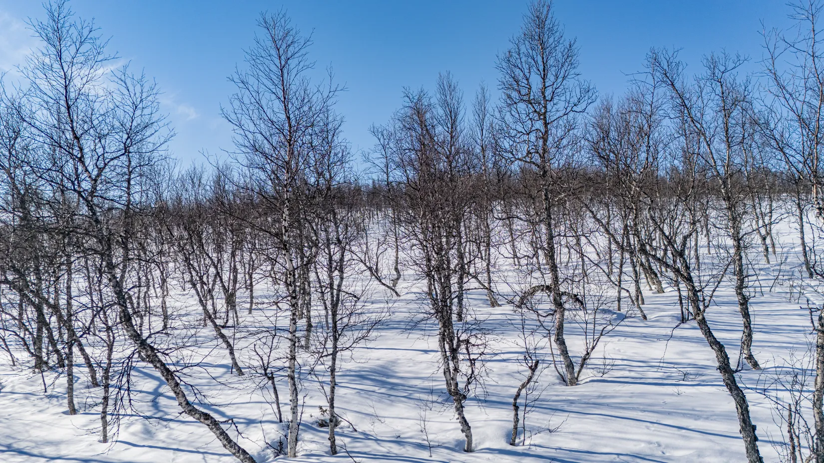 Tomt, Forsfallet-FF01, Hemavan/Birke, Storuman