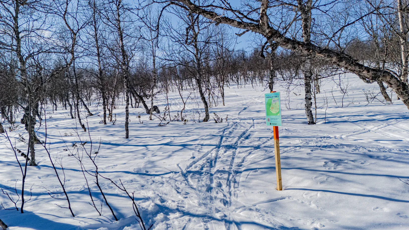 Tomt, Forsfallet-FF02, Hemavan/Birke, Storuman