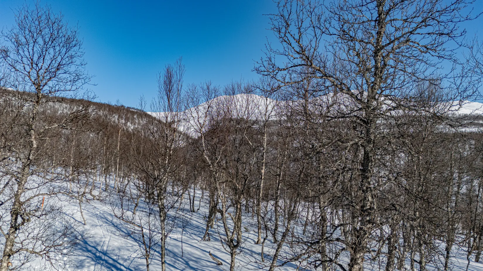 Tomt, Forsfallet-FF02, Hemavan/Birke, Storuman