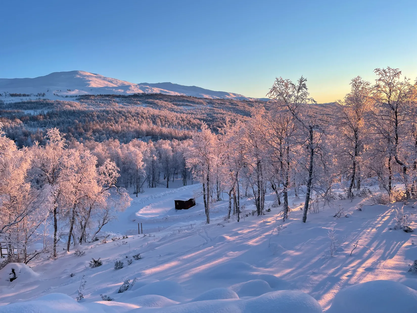 Tomt, Forsfallet-FF03, Hemavan/Birke, Storuman