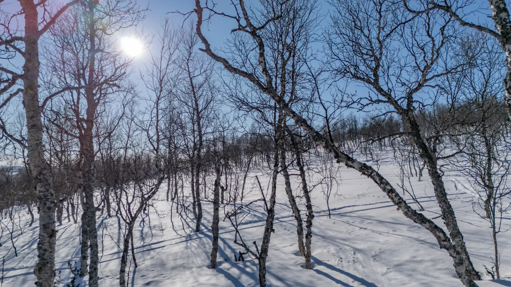 Tomt, Forsfallet-FF03, Hemavan/Birke, Storuman