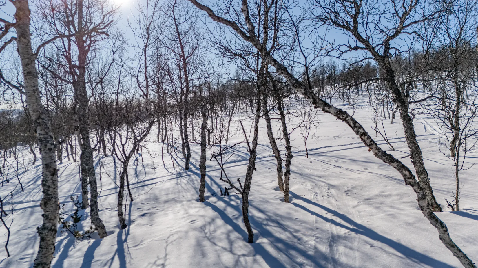 Tomt, Forsfallet-FF03, Hemavan/Birke, Storuman