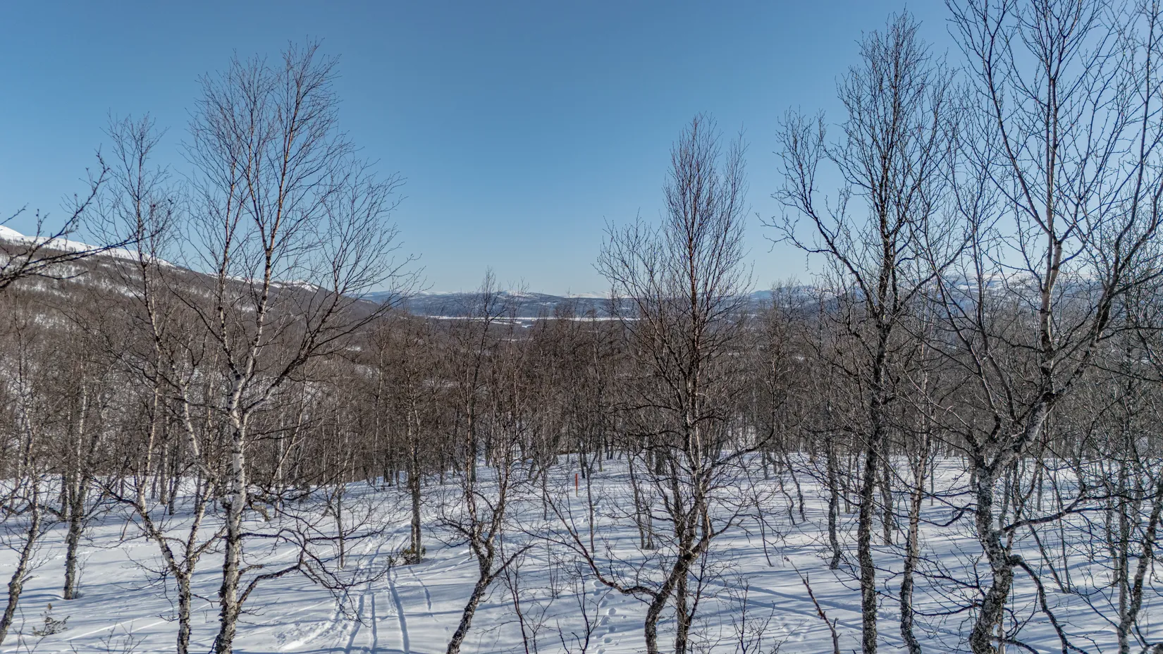 Tomt, Forsfallet-FF03, Hemavan/Birke, Storuman