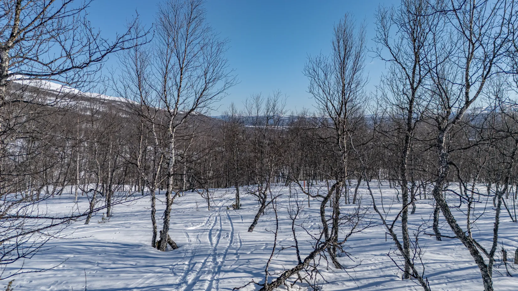 Tomt, Forsfallet-FF03, Hemavan/Birke, Storuman