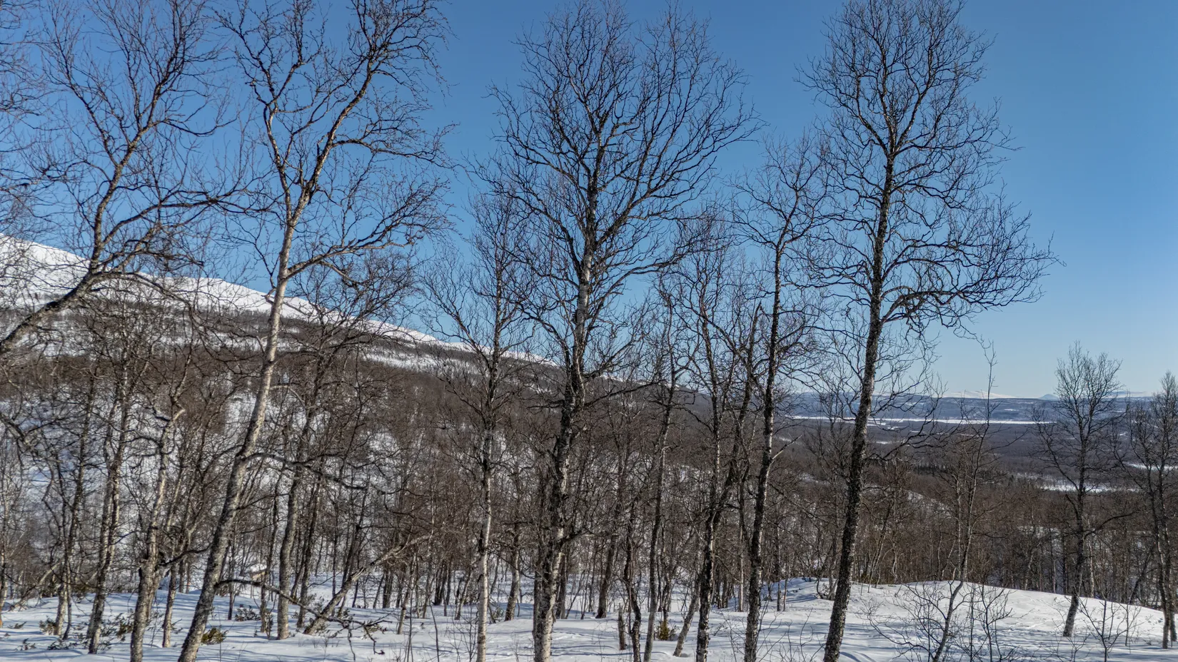 Tomt, Forsfallet-FF04, Hemavan/Birke, Storuman