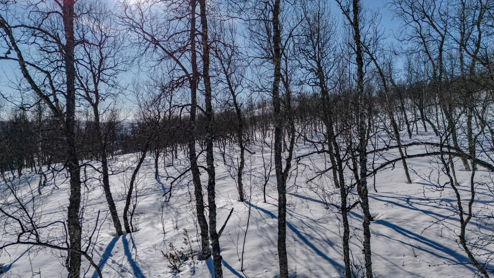 Tomt, Forsfallet-FF04, Hemavan/Birke, Storuman