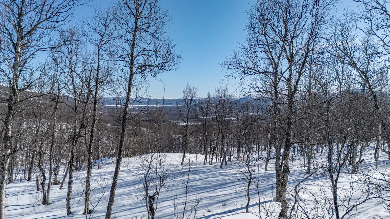 Tomt, Forsfallet-FF04, Hemavan/Birke, Storuman