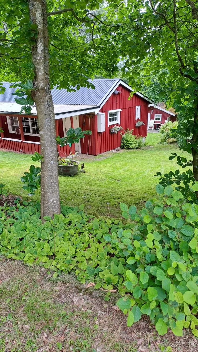 Villa, Krika skog 2228M, Krika skog, Klippan