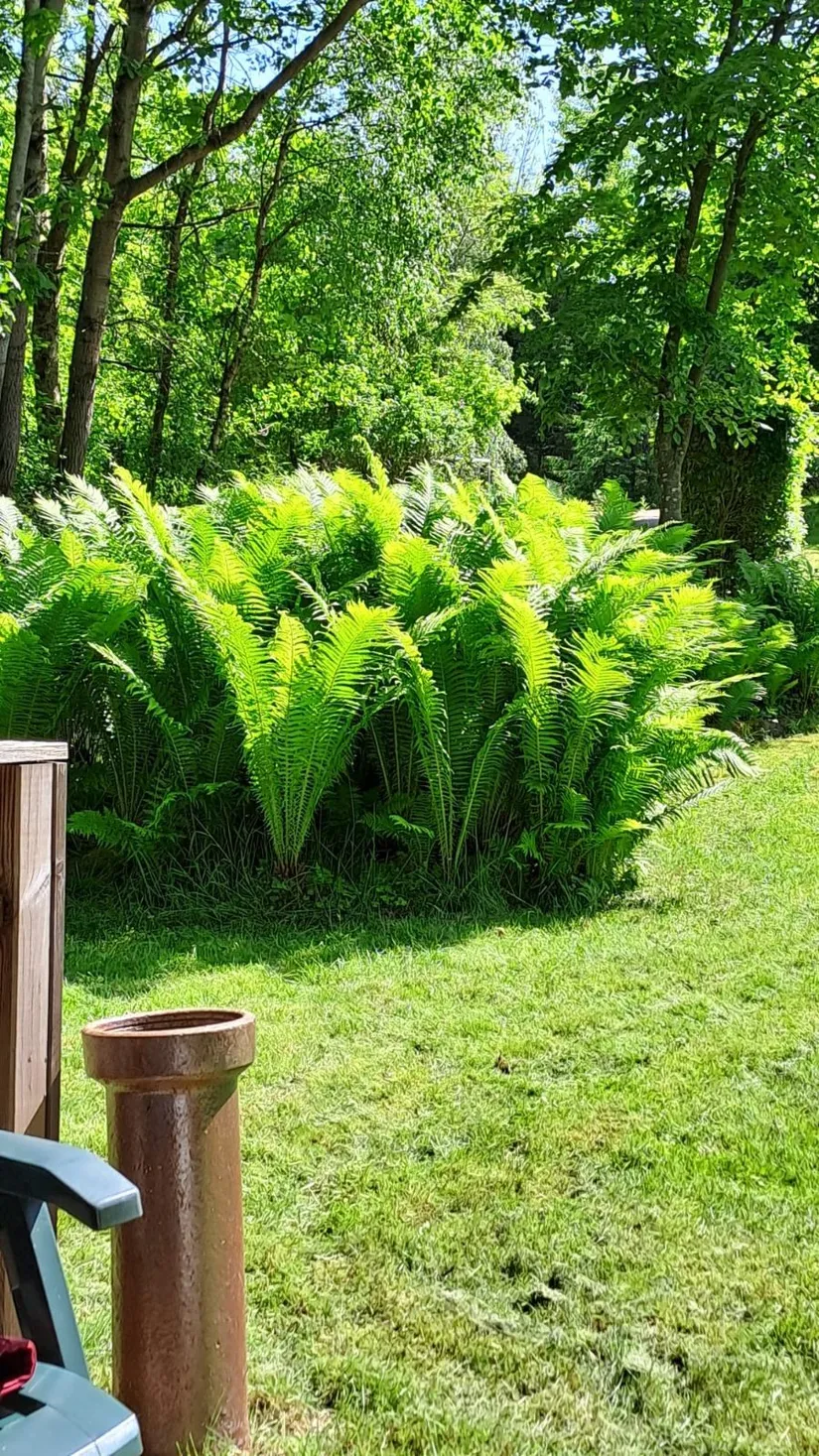 Villa, Krika skog 2228M, Krika skog, Klippan